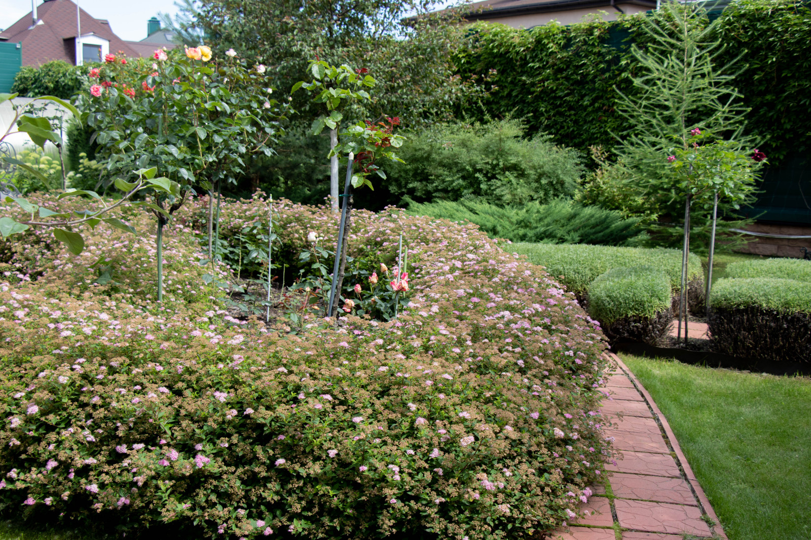 Французский садик в поселке Рыбаки Дмитровское шоссе