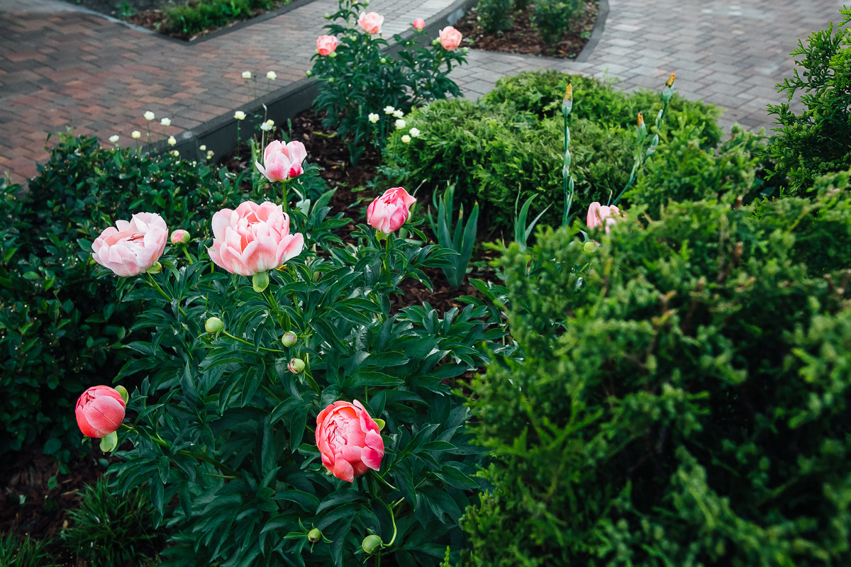 Равновесие