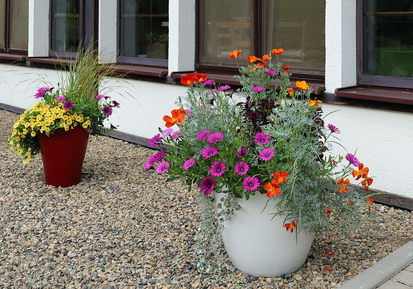 Коттеджный сад