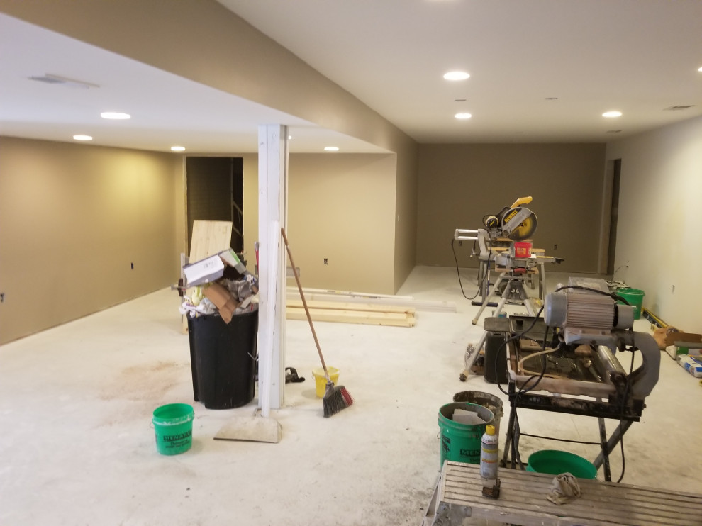 Ann Arbor / Condo Finished Basement with Bathroom