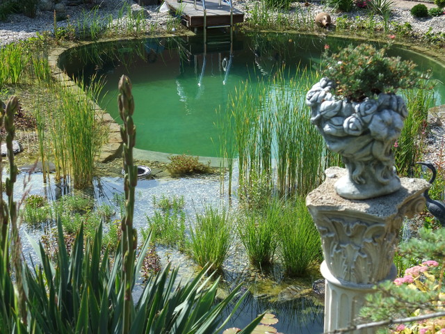BioNova Natural Swimming Pools - International swimming-pool-and-hot-tub
