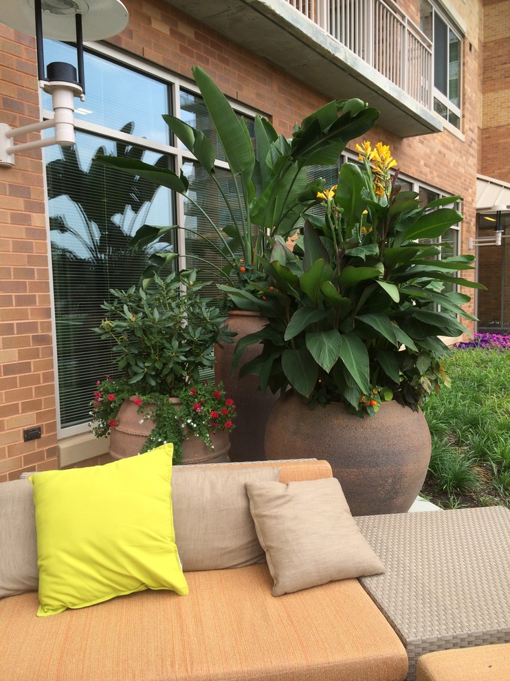 Patio - modern patio idea in DC Metro