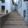 webuser_880050331