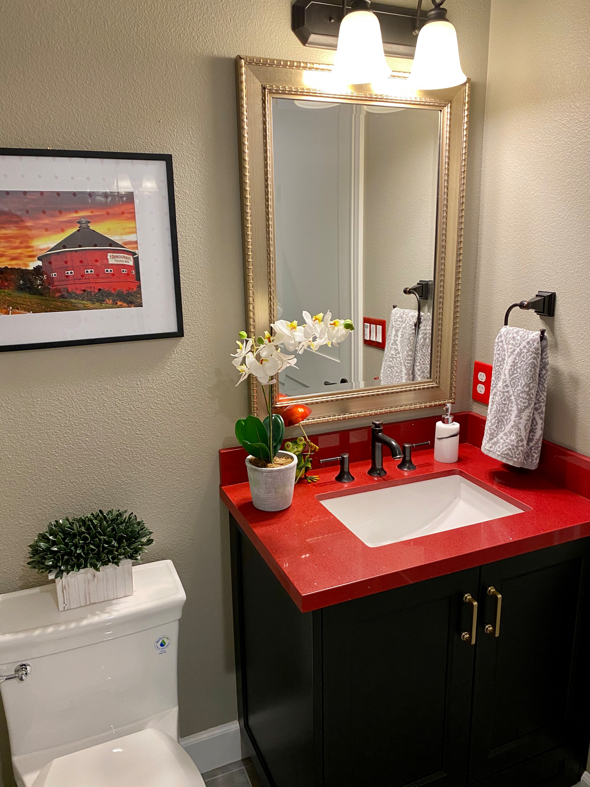 Home Theater Bathroom