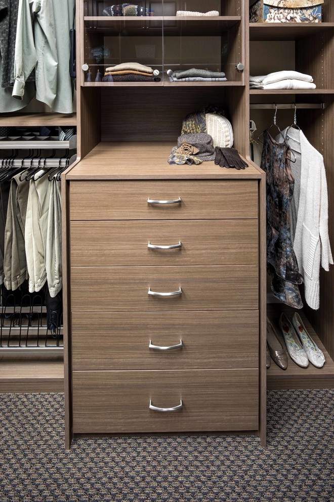 Photo of a small contemporary gender-neutral built-in wardrobe in San Francisco with glass-front cabinets, medium wood cabinets and carpet.