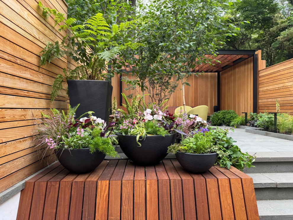 Carroll Gardens Modern