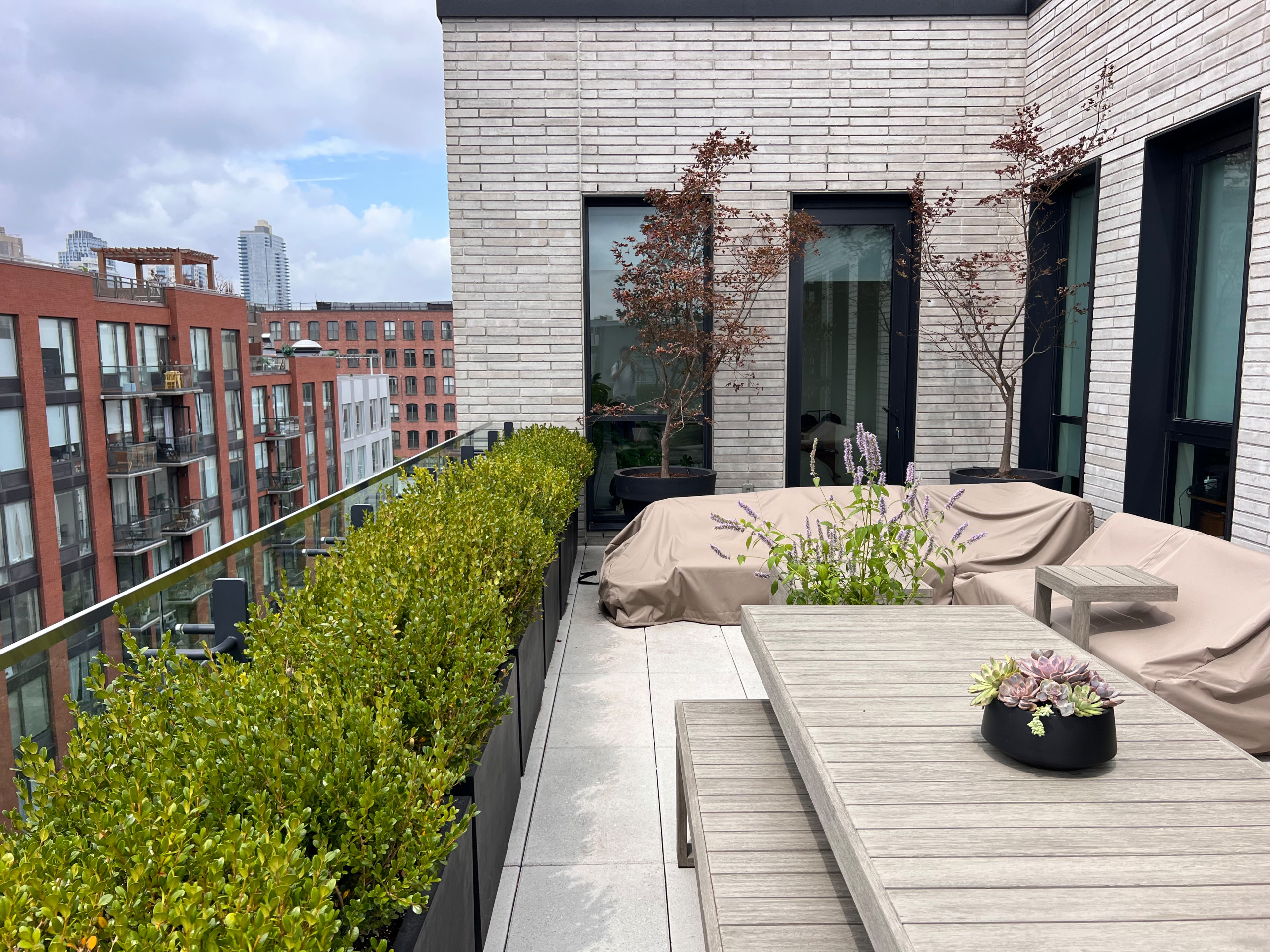 Williamsburg new terrace