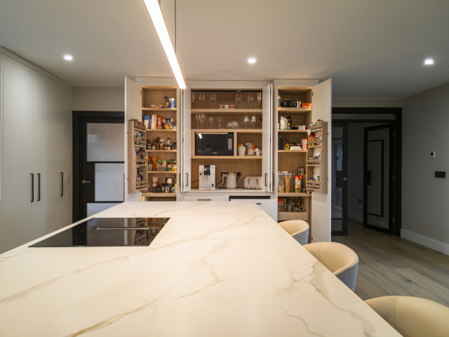 Ivory Envy '23 contemporary-kitchen