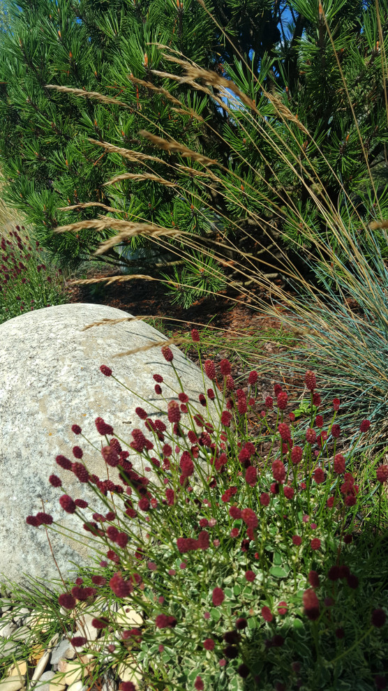 Цветники и композиции крупным планом