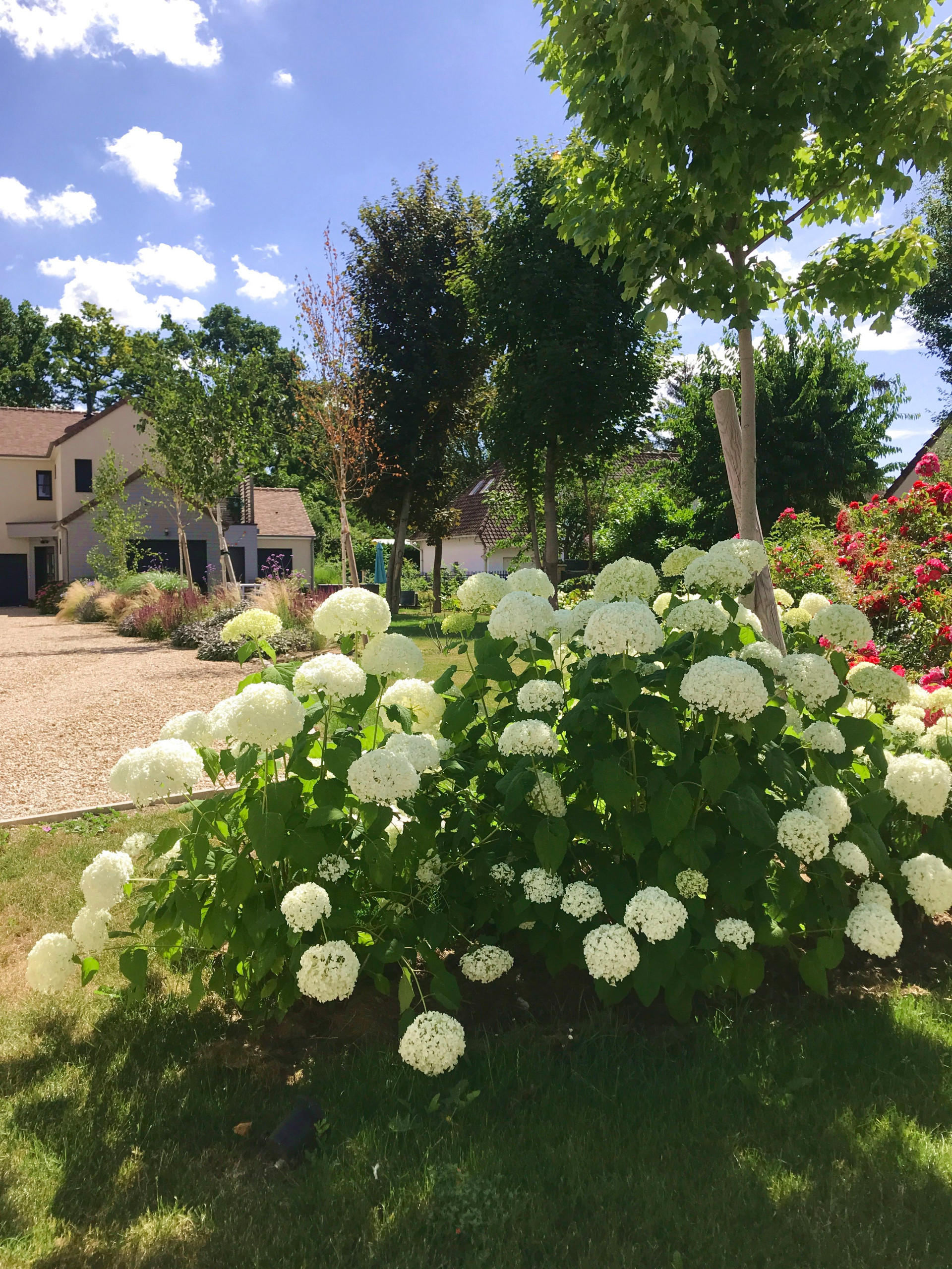 Jardin champêtre