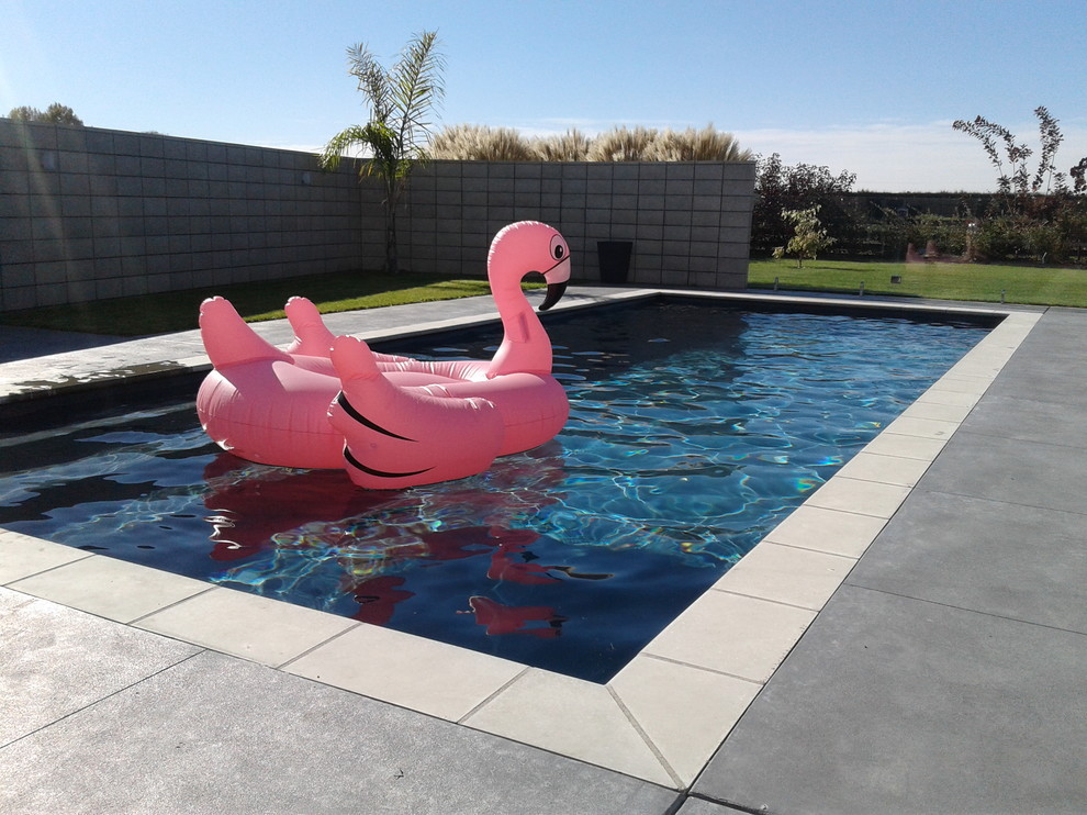 Photo of a modern pool in Napier-Hastings.
