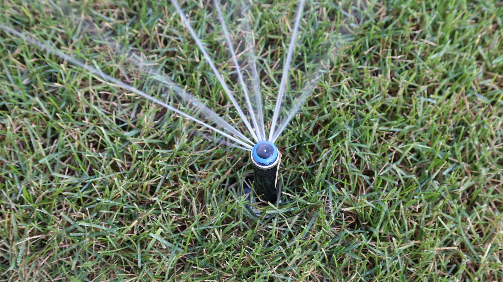 Проект автополива 37 соток