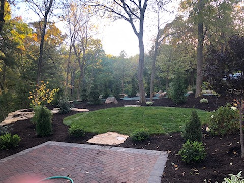 Woodland Restoration