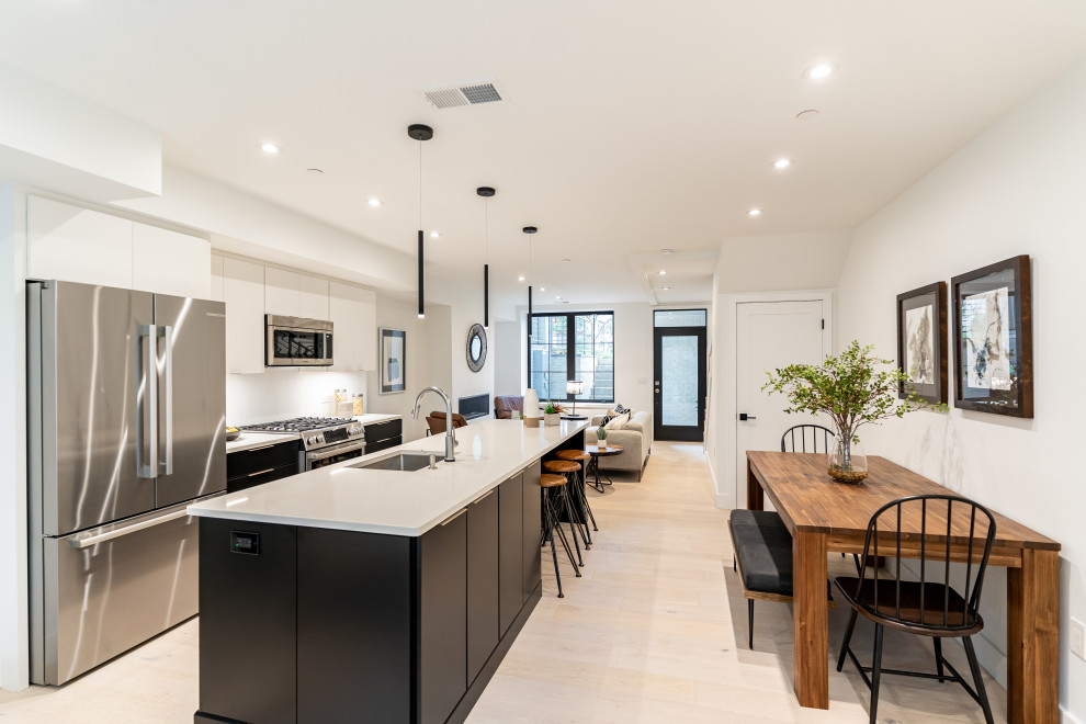 Southwest DC Duplex Renovation