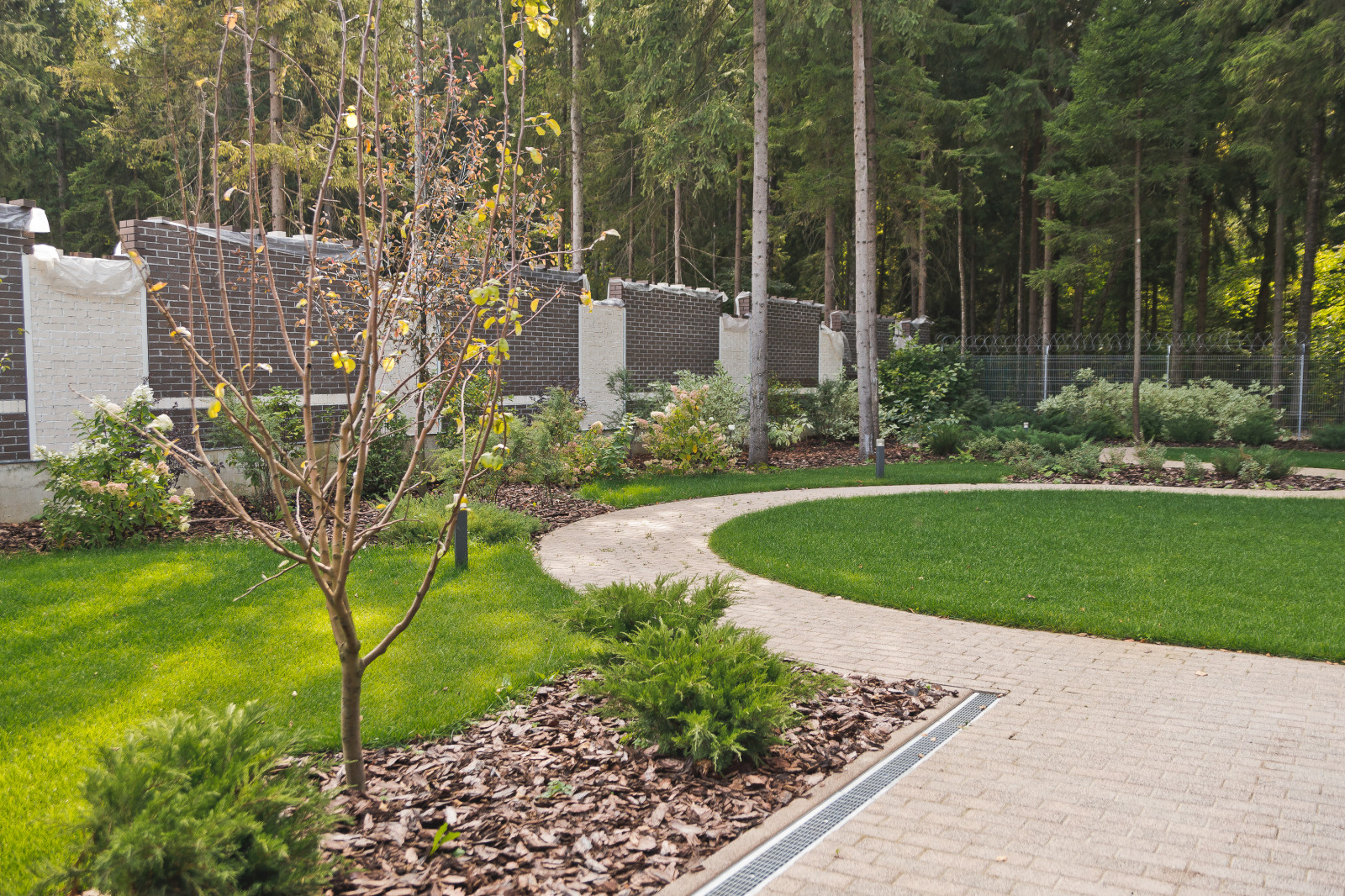 Сад на краю леса