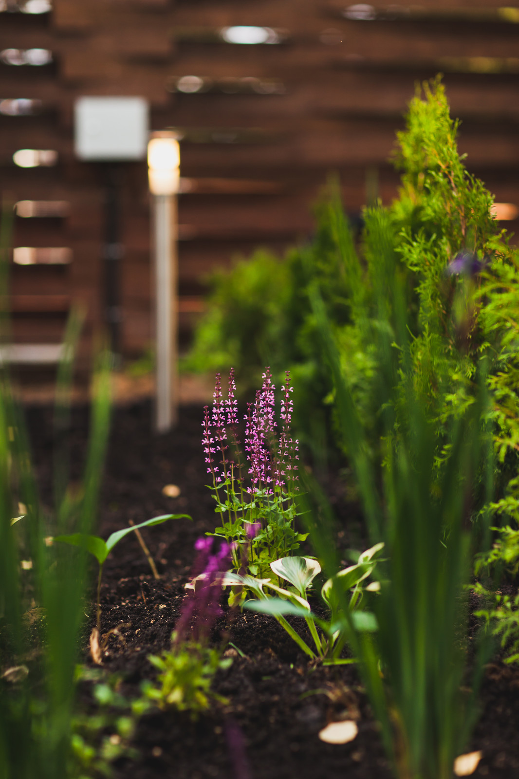 Ландшафтный дизайн для актрисы Татьяны Лютаевой