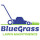 Bluegrass Lawn Maintenance