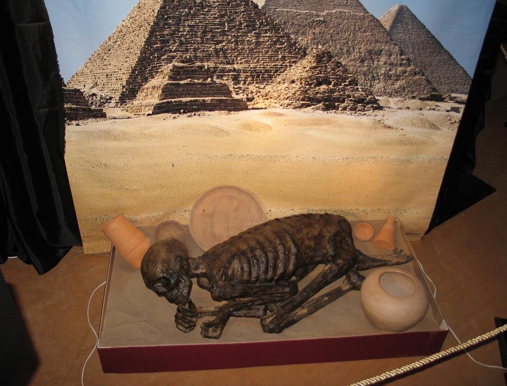 Передвижная выставка "Египетские мумии. У истоков времён"