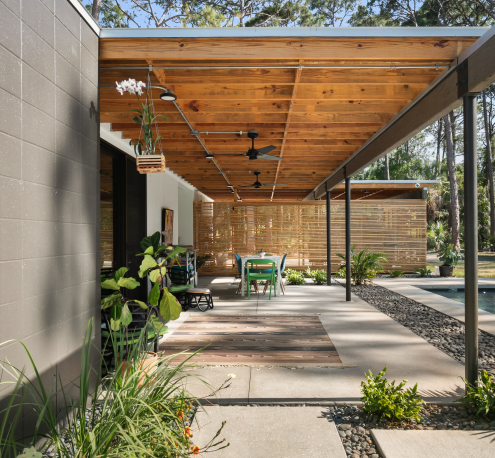 Large trendy concrete porch idea in Tampa with a roof extension