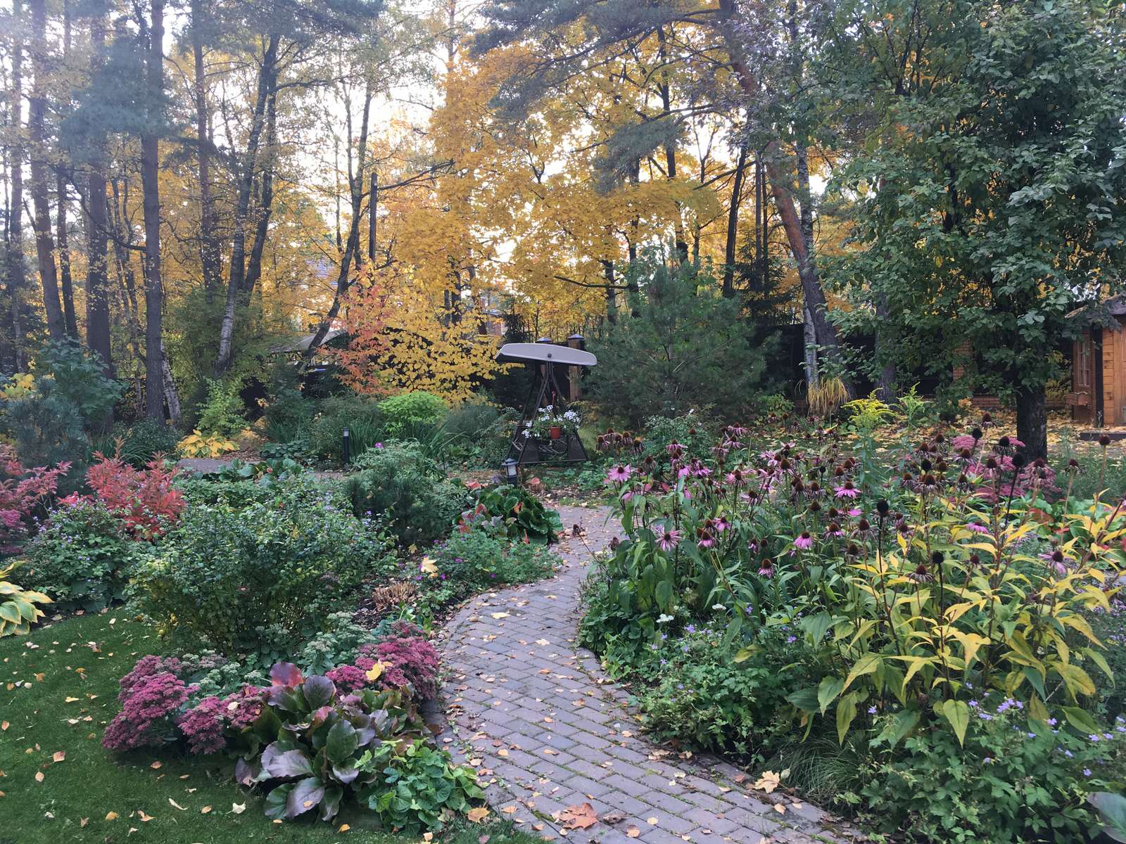 Белкин сад. Осень 2019