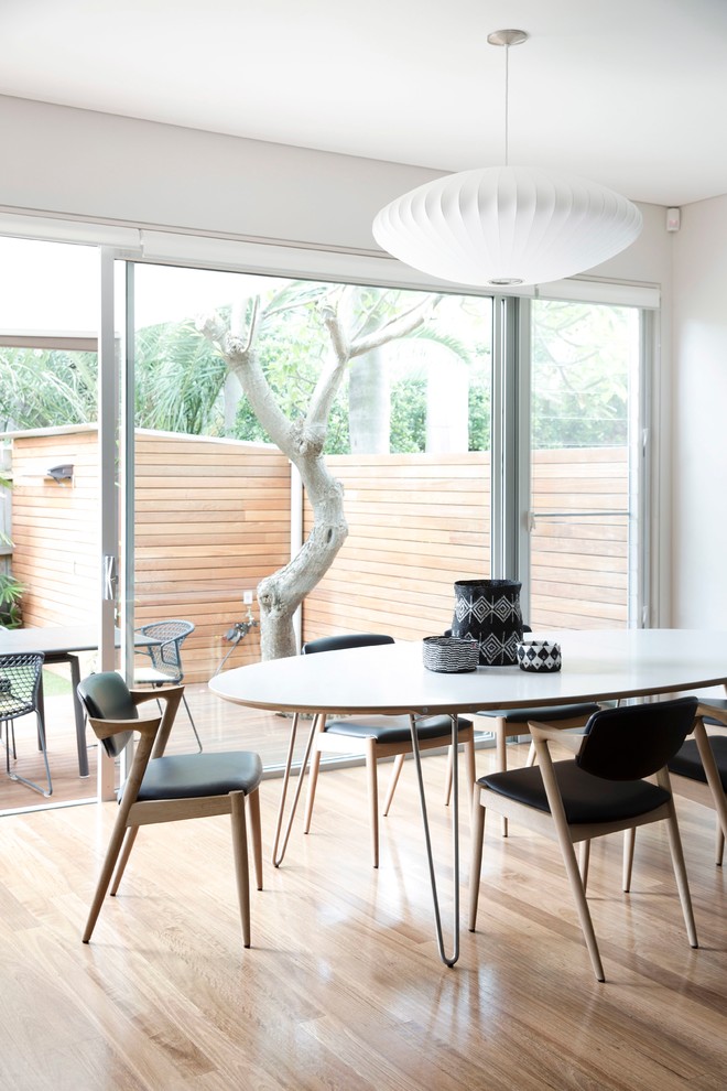 Design ideas for a contemporary dining room in Sydney with white walls and light hardwood floors.