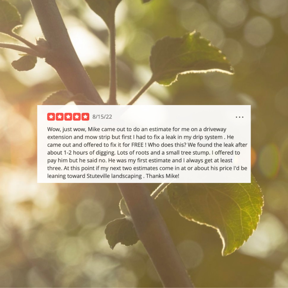 Reviews