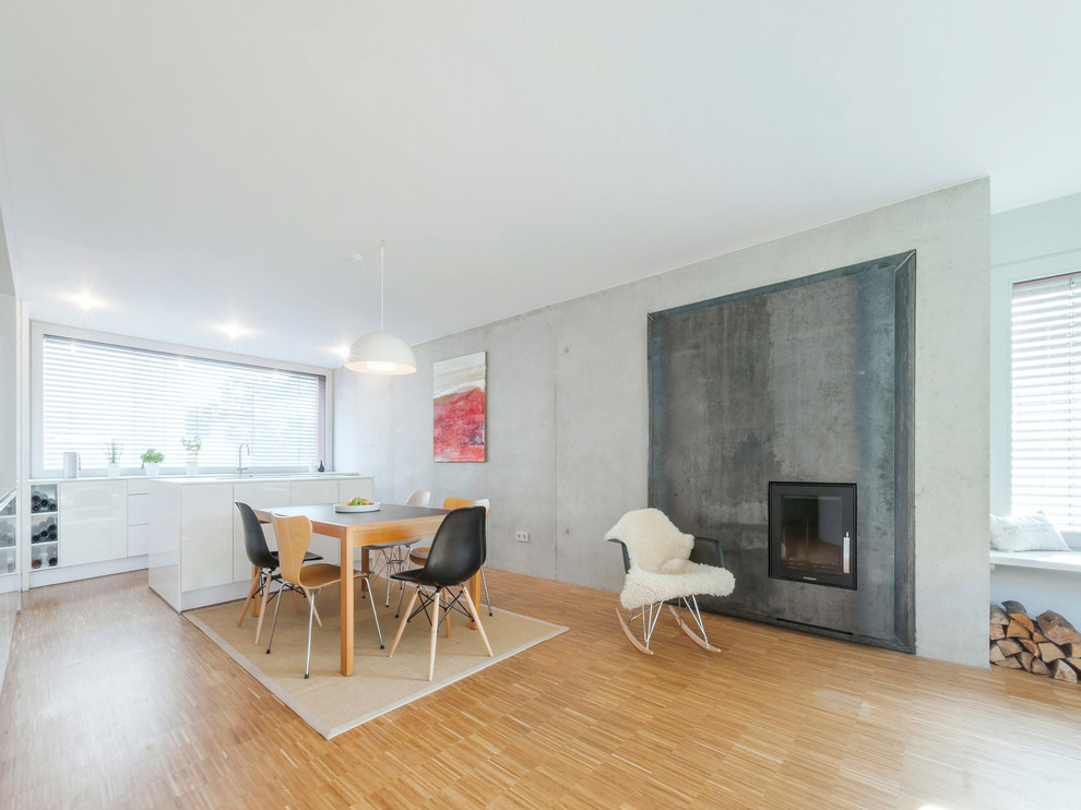 Wohnzimmer mit grauer Wandfarbe, braunem Holzboden, Kamin, braunem Boden und Kaminumrandung aus Metall in Stuttgart