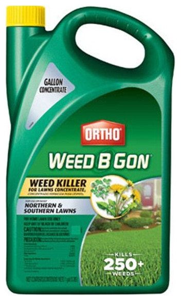 Ortho 0430005 Weed-B-Gon Concentrate Weed Killer For Lawns, 1 Gallon