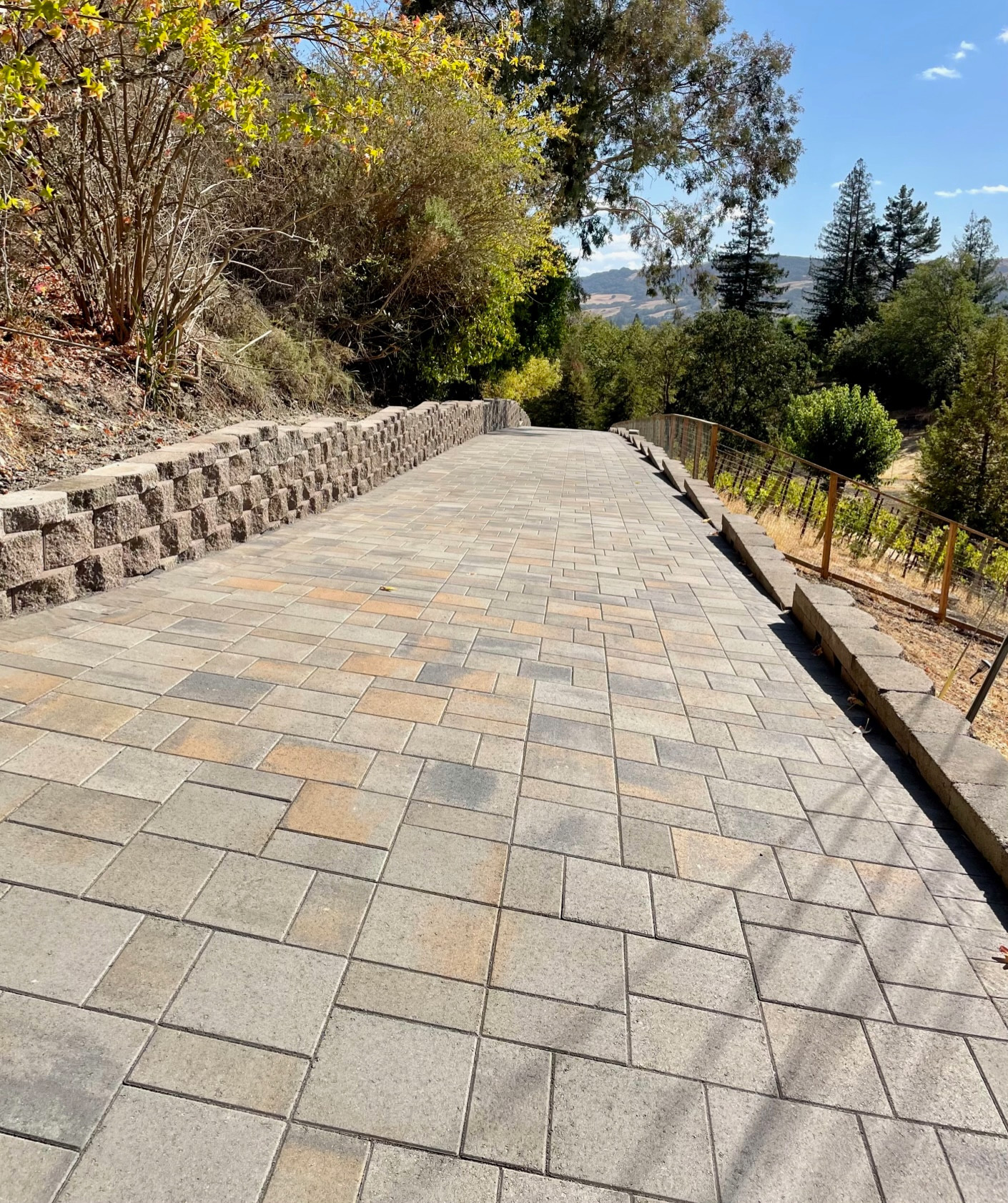 Driveway and Retaining Wall in Alamo