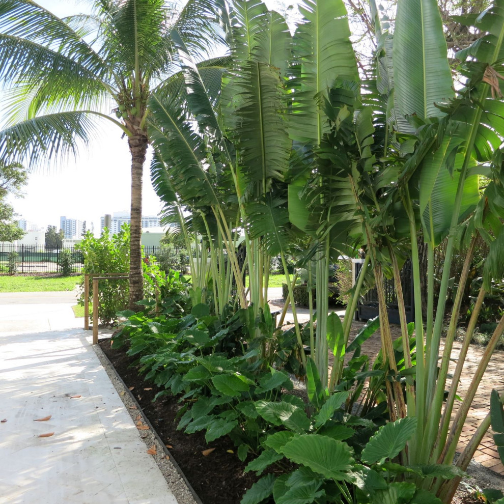 Photo of a mid-sized tropical front yard partial sun formal garden in Miami with with privacy feature, natural stone pavers and a stone fence.