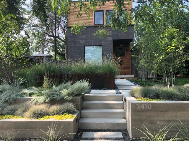 Order Meets Wildness in a Denver Front Yard Makeover