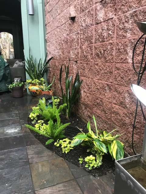 Townhome patio and walk space