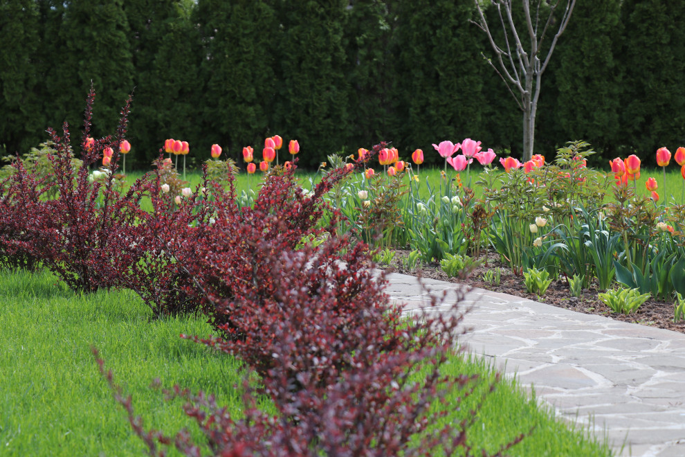 Весна 2020 Сосновые берега