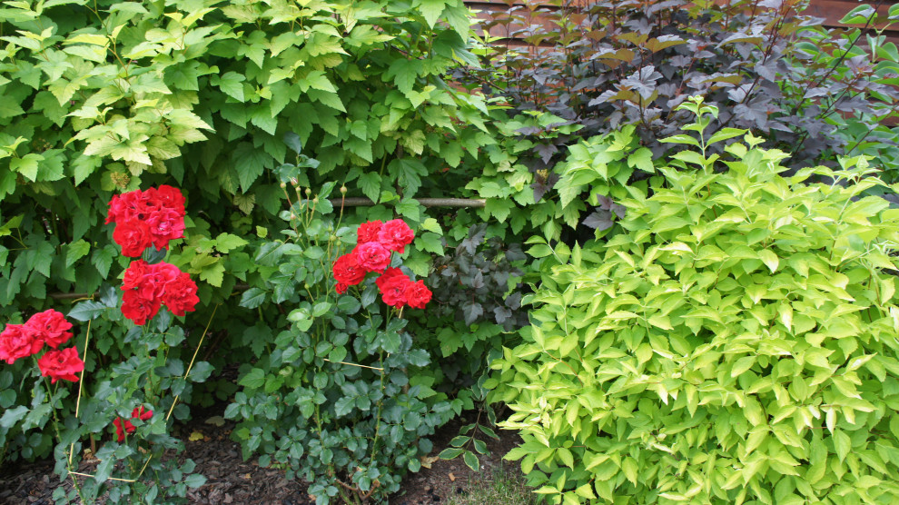 Прохорово лето 2017