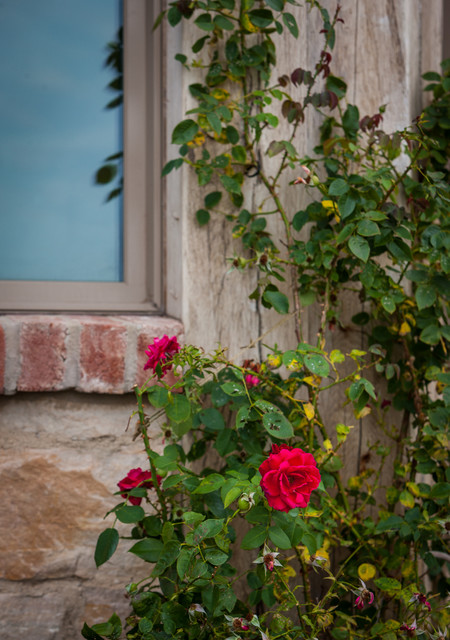 Rustic Elegance rustic