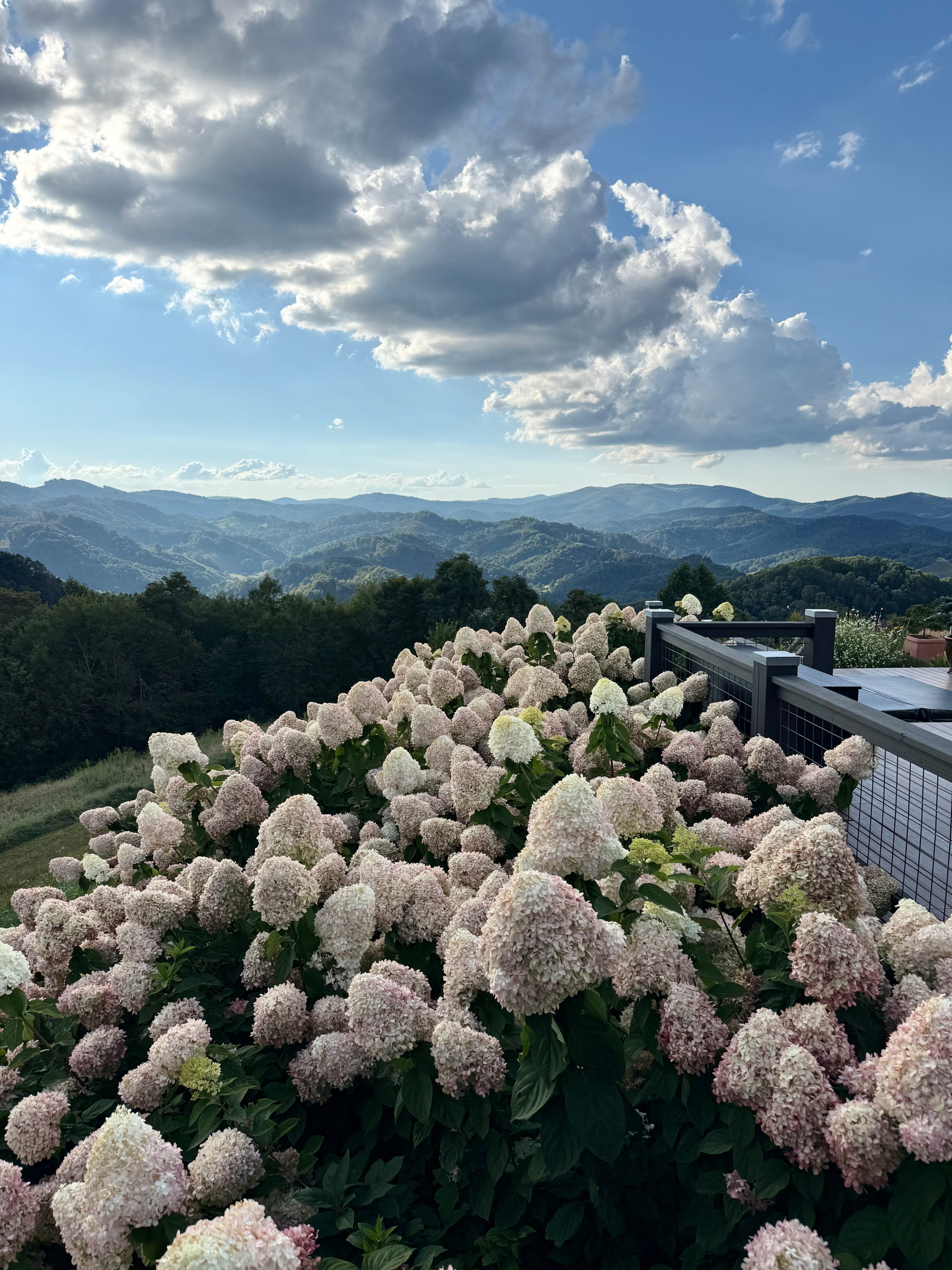 Mountain Top Magic