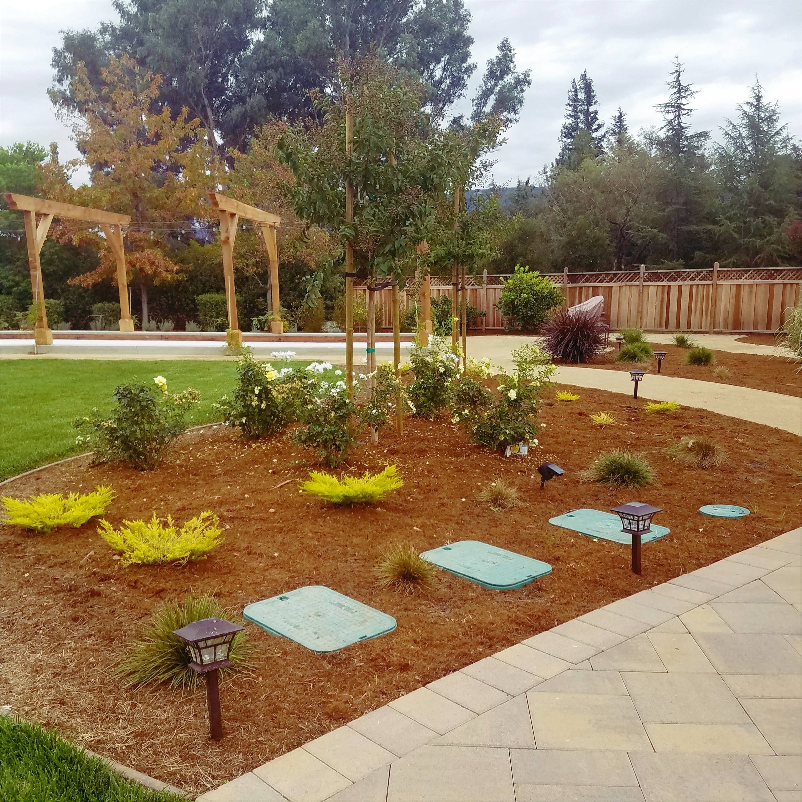 The Modern Oasis