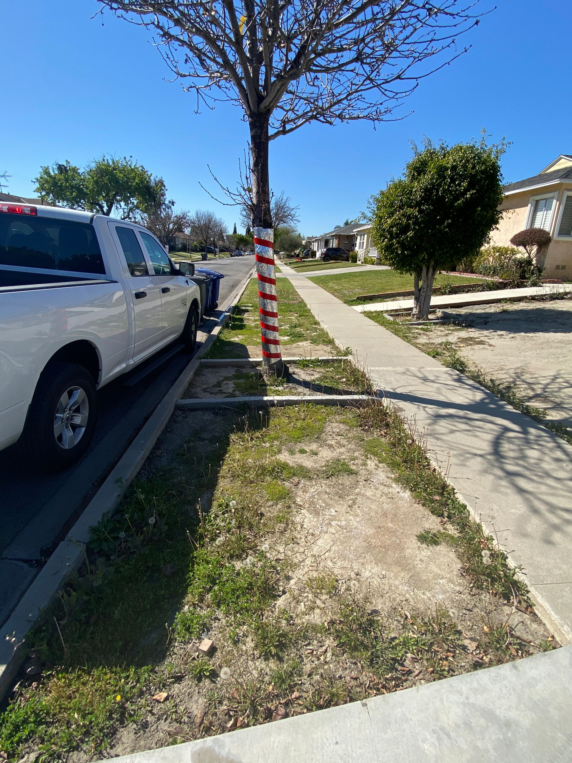 Artificial grass (turf) front yard transformation