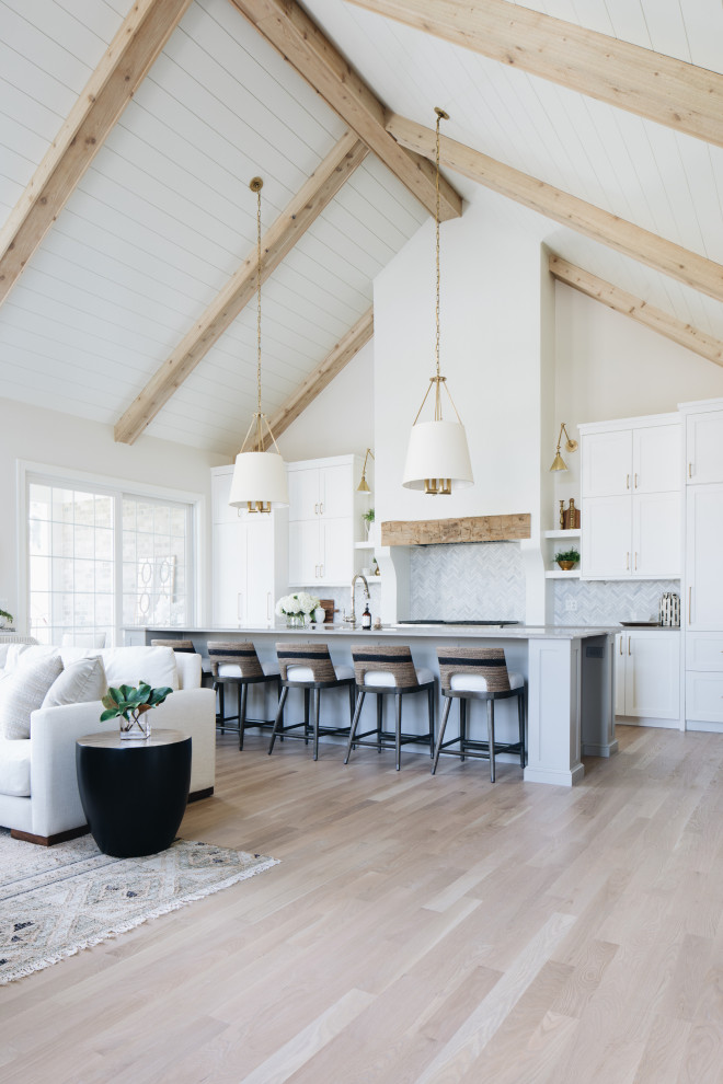 Kitchen - transitional kitchen idea in Chicago