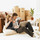 Moving Company Palm Bay