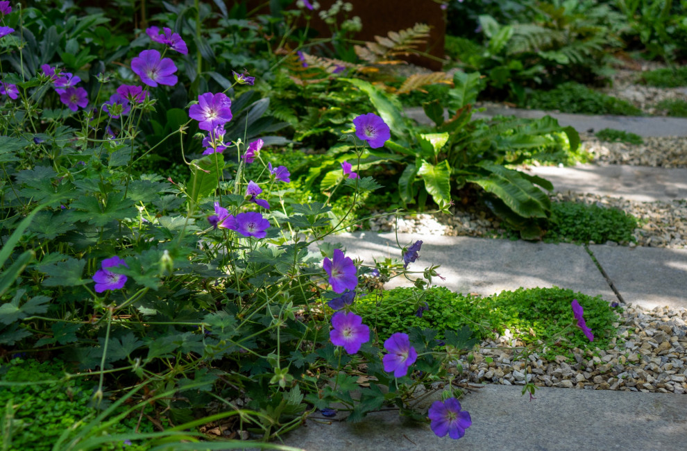 Ispirazione per un piccolo giardino contemporaneo in ombra dietro casa in estate con un ingresso o sentiero e pavimentazioni in pietra naturale