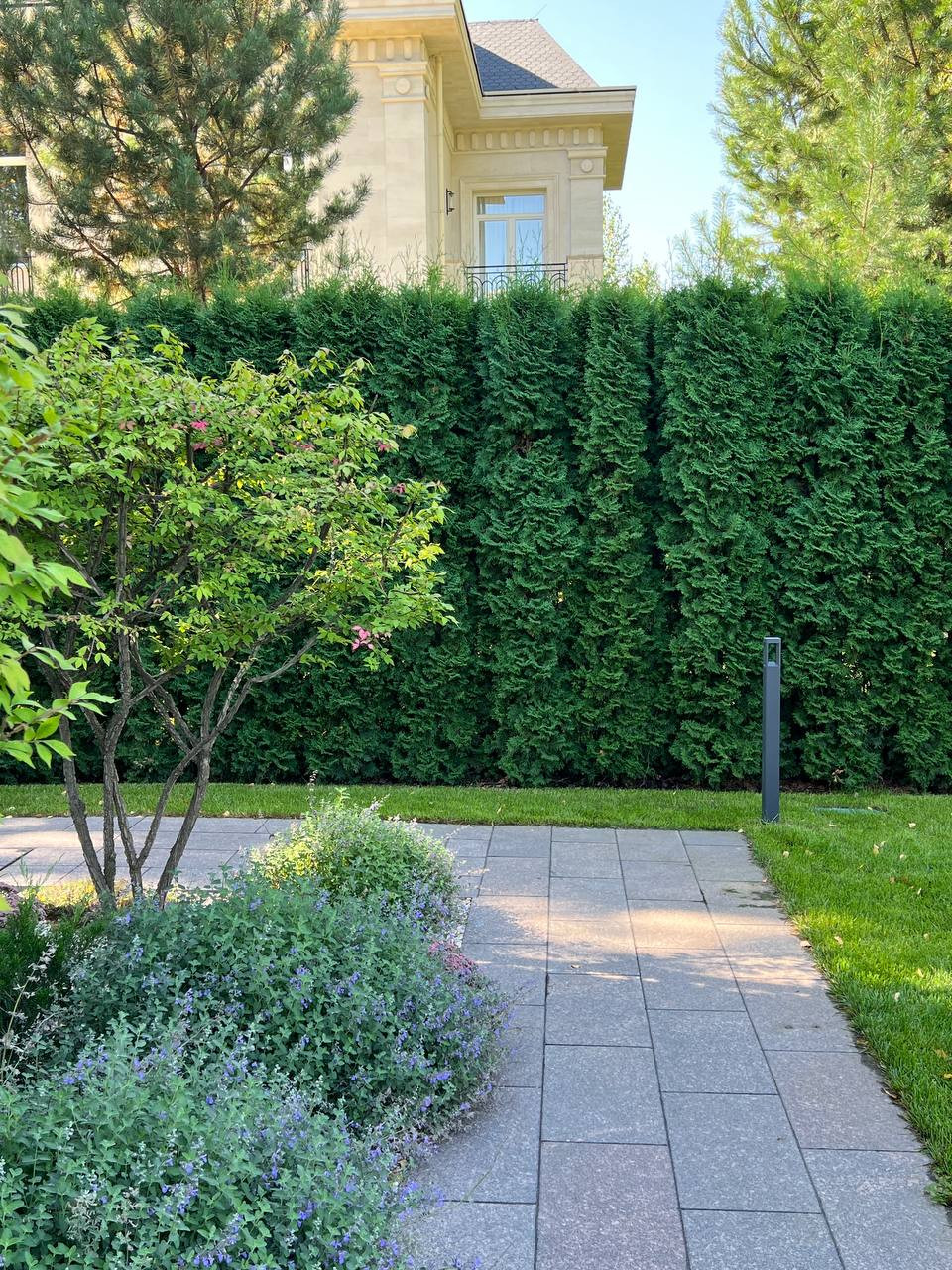 Классика вне времени