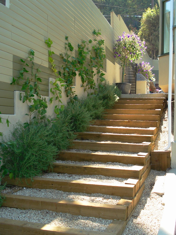Photo of a mid-sized contemporary side yard partial sun garden in Los Angeles with a garden path and gravel.