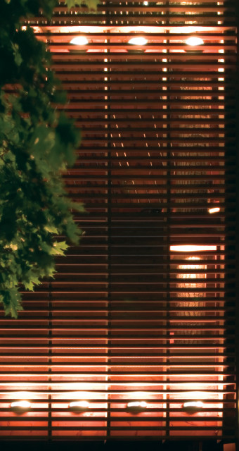 4Treehouse trendy-hus-og-facade