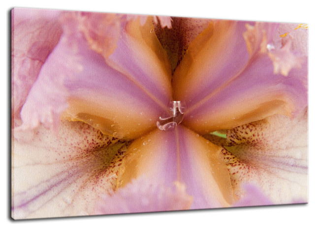 Symmetry of Nature Floral Nature Photography Canvas Wall Art Print, 18" X 24"
