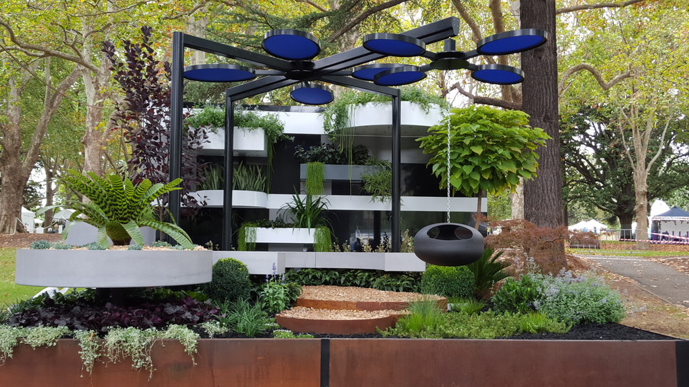 Photo of a small contemporary courtyard garden in Sydney.