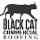 Black Cat Commercial Roofing