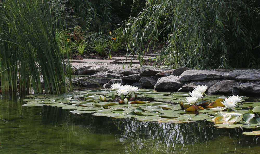 В центре круга