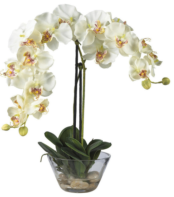 Phalaenopsis With Glass Vase Silk Flower Arrangement Asian