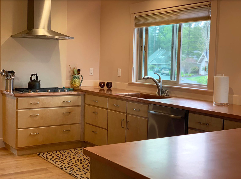 Photo of a mid-sized midcentury l-shaped eat-in kitchen in Other with stainless steel appliances and no island.